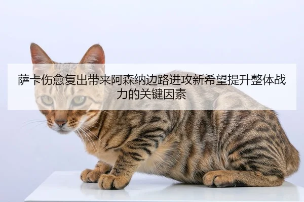 萨卡伤愈复出带来阿森纳边路进攻新希望提升整体战力的关键因素