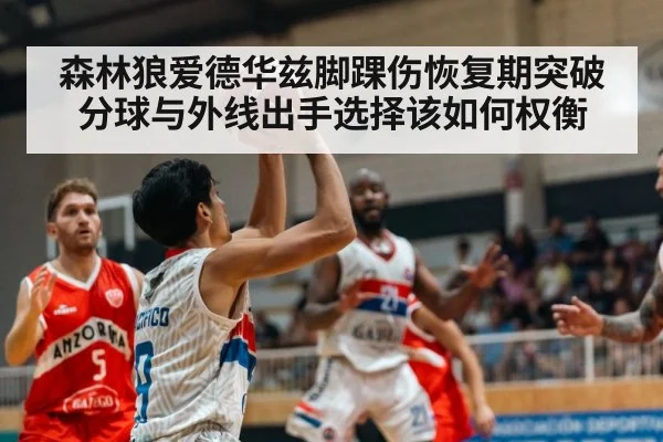 森林狼爱德华兹脚踝伤恢复期突破分球与外线出手选择该如何权衡